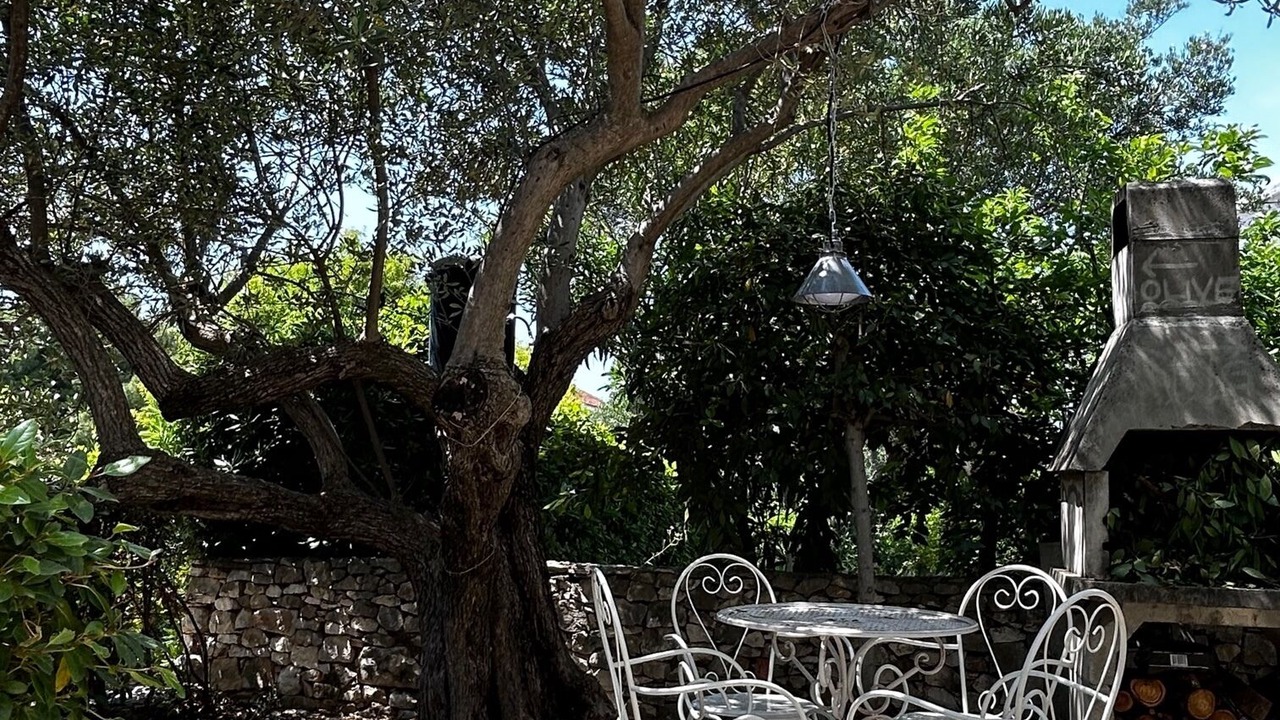 Photo of Outdoor in Seget Vranjica