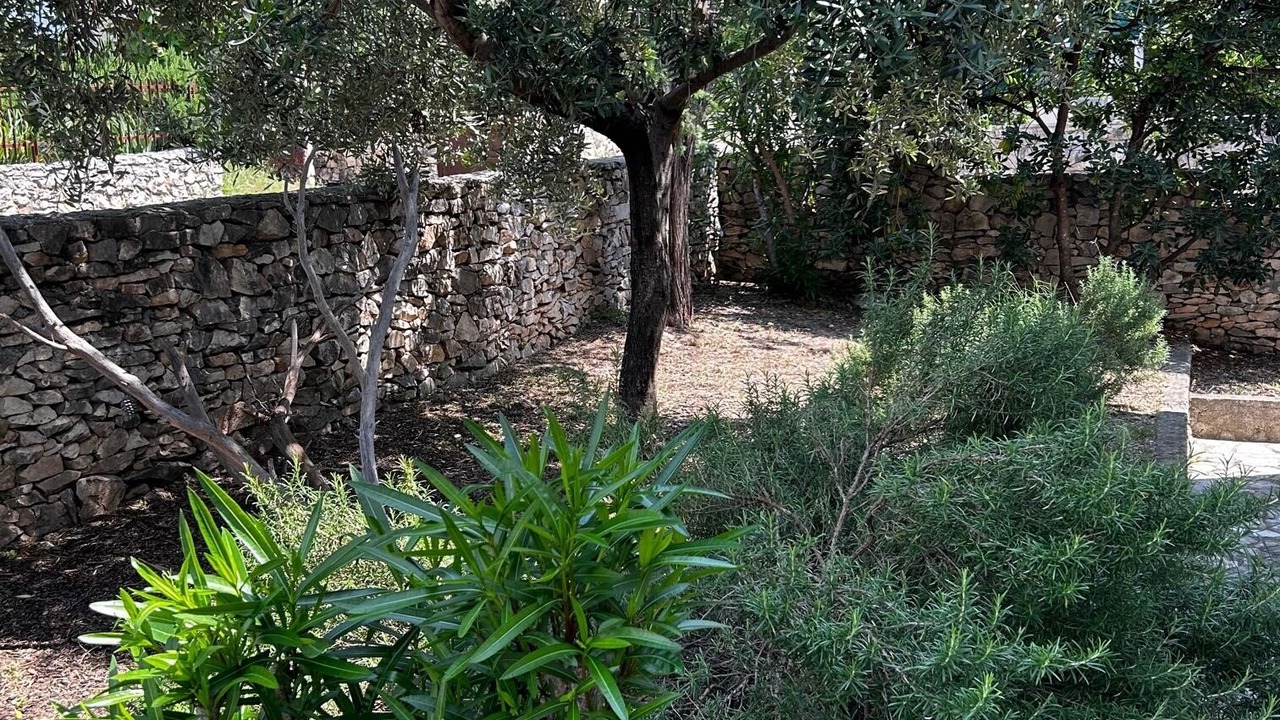 Photo of Outdoor in Seget Vranjica