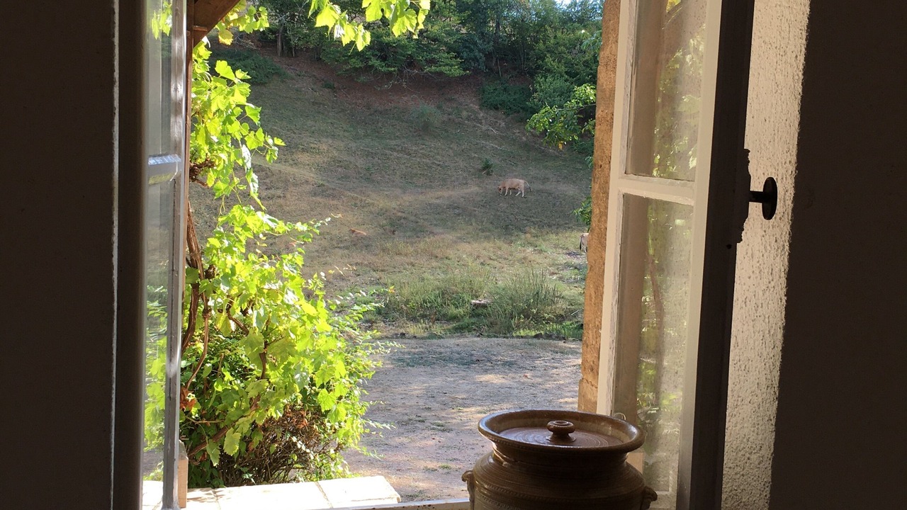 Photo of Others in Cherizet