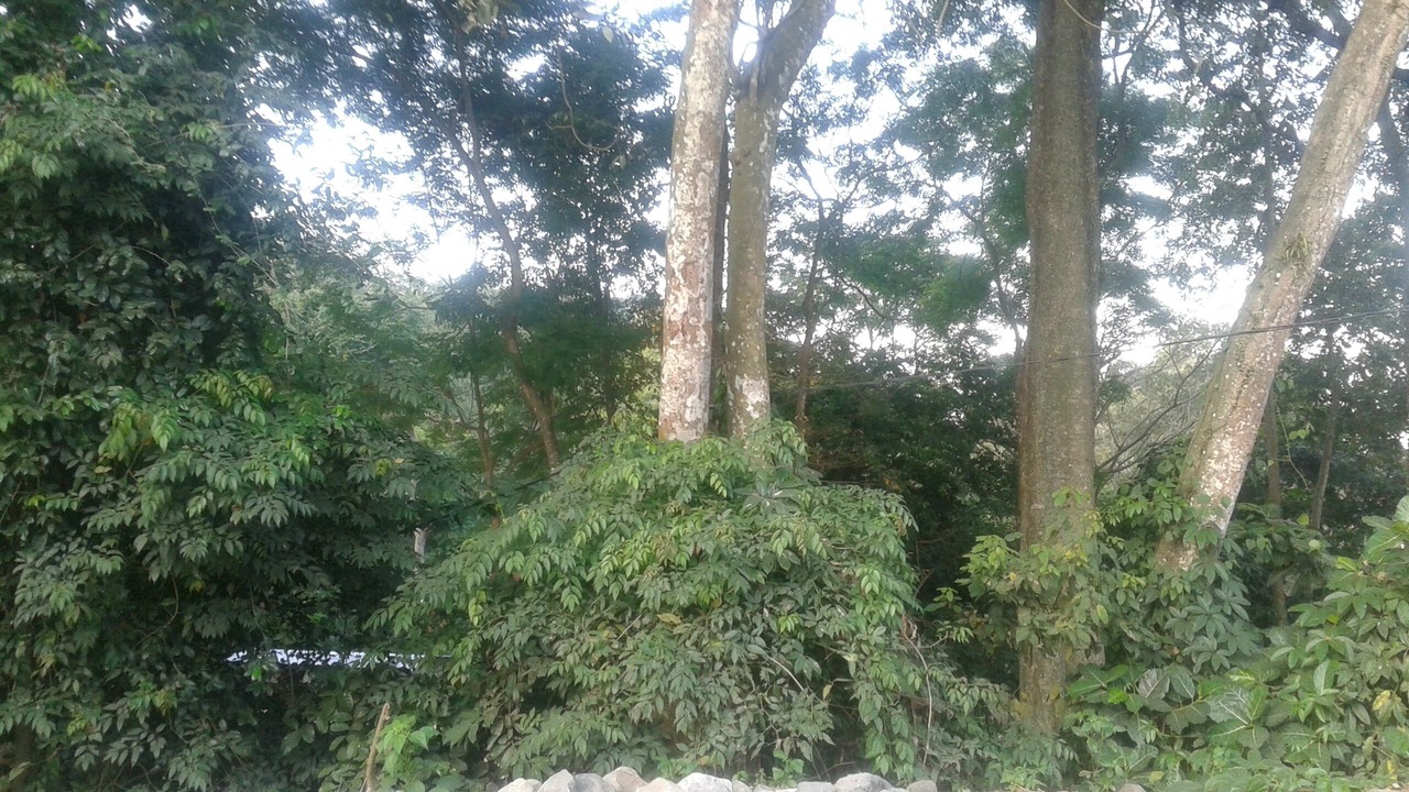 Photo of Outdoor in Tetebatu
