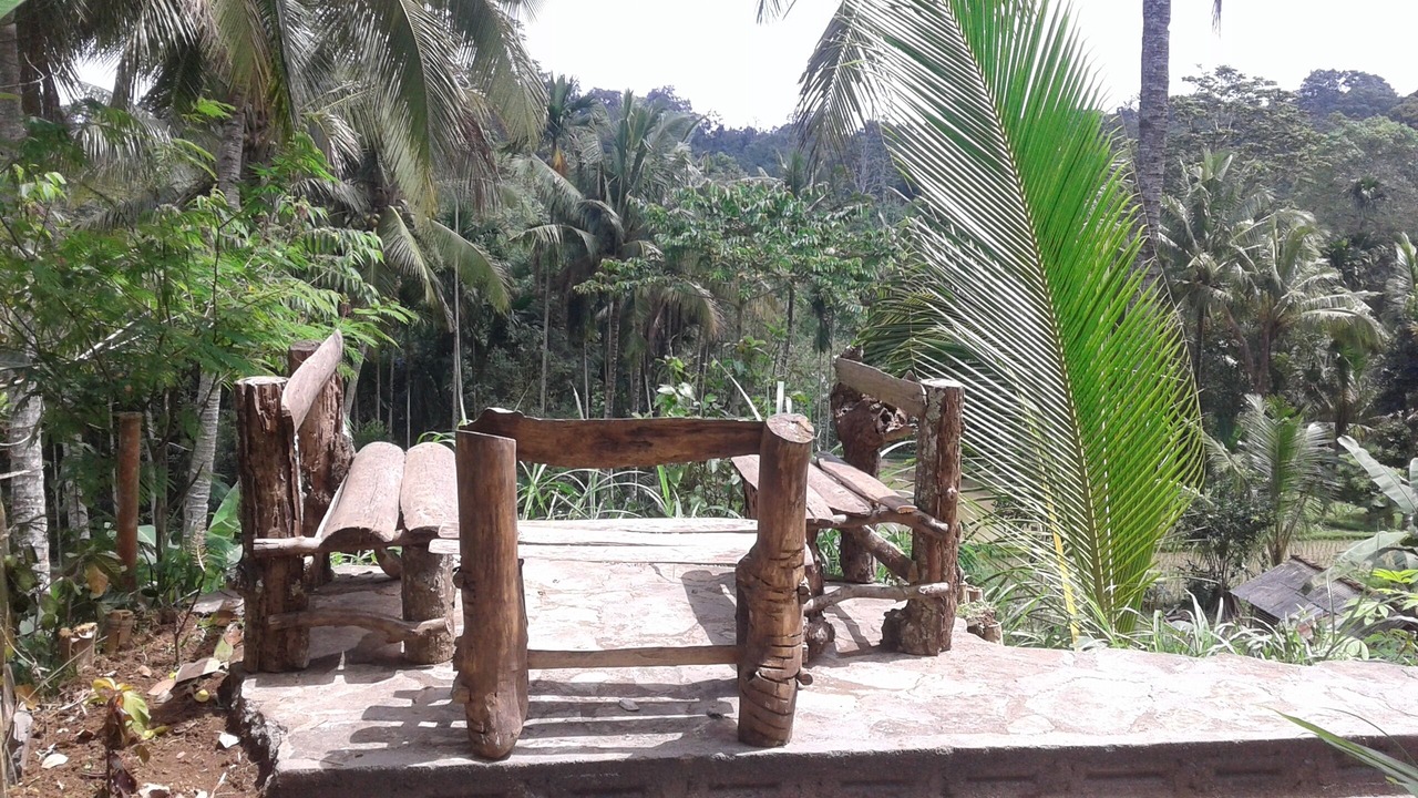 Photo of Outdoor in Tetebatu