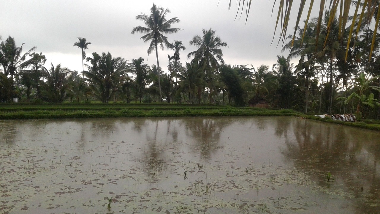 Photo of Outdoor in Tetebatu
