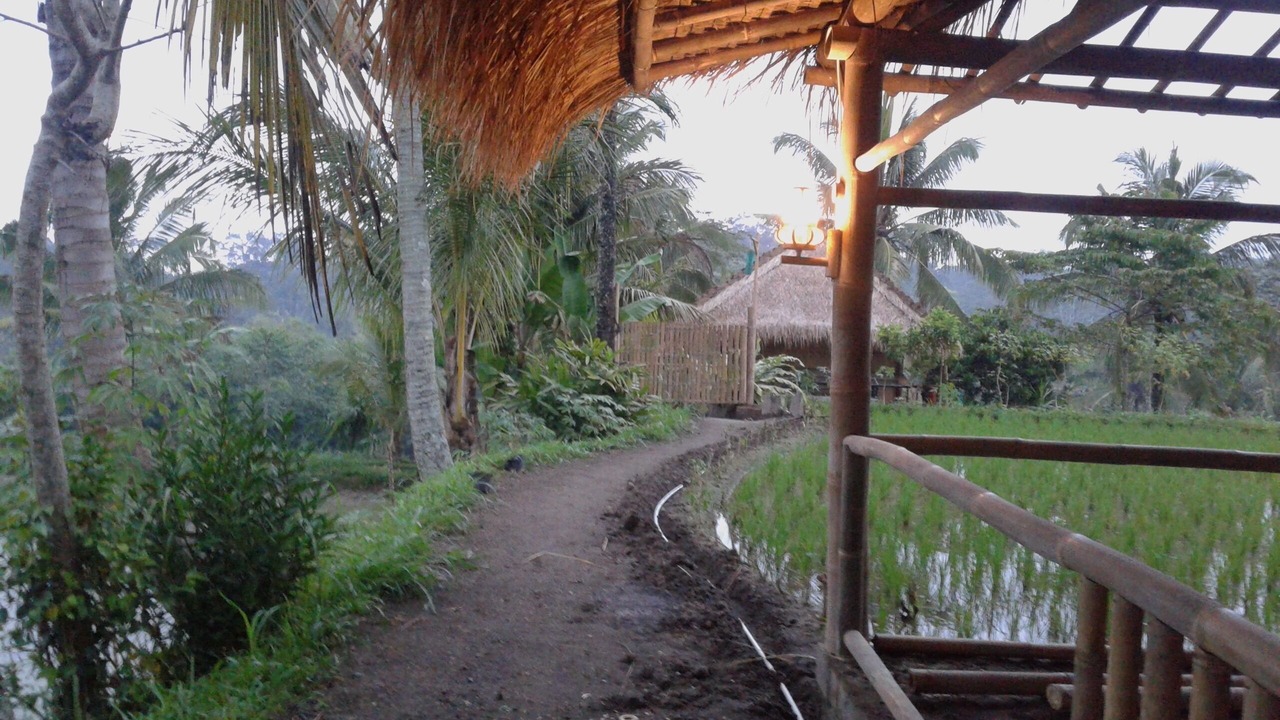 Photo of Outdoor in Tetebatu