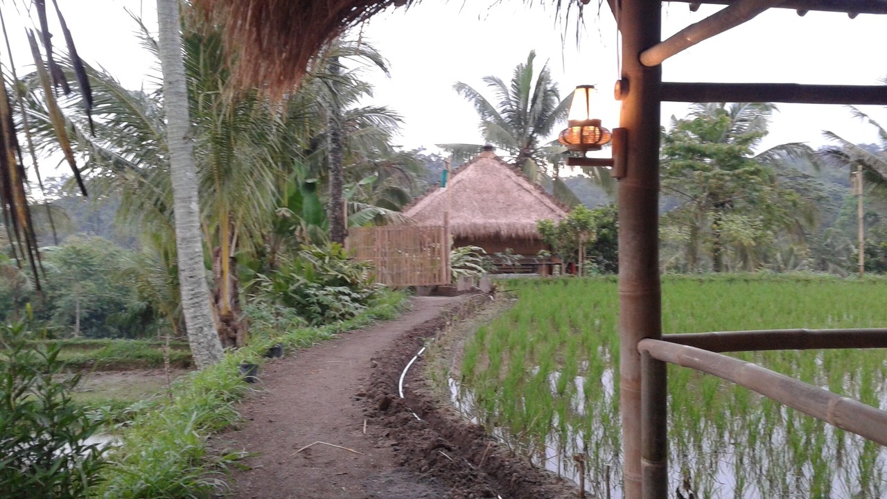 Photo of Outdoor in Tetebatu