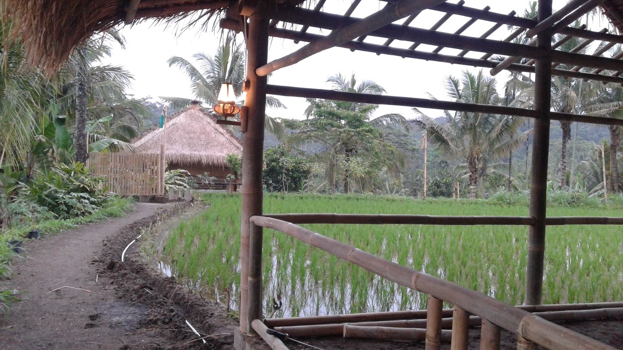 Photo of Outdoor in Tetebatu