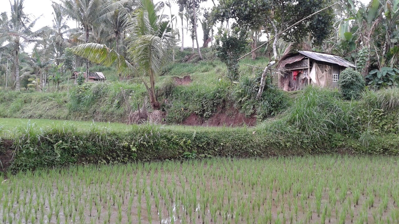 Photo of Outdoor in Tetebatu