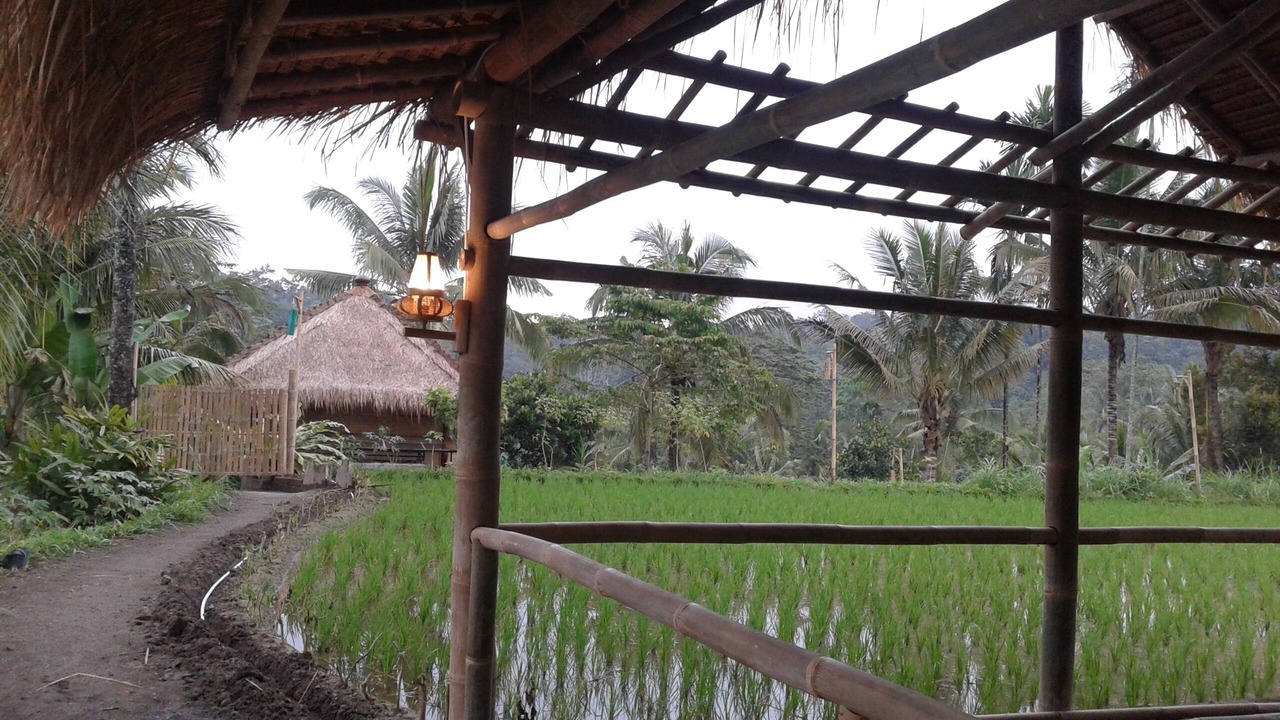 Photo of Outdoor in Tetebatu
