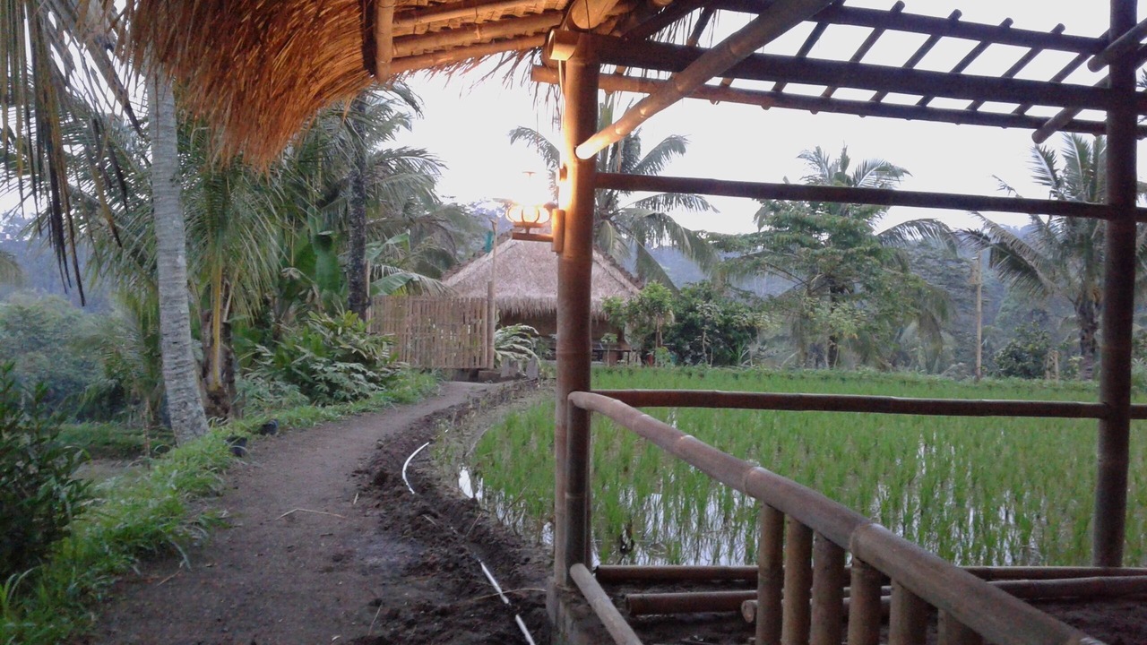 Photo of Outdoor in Tetebatu