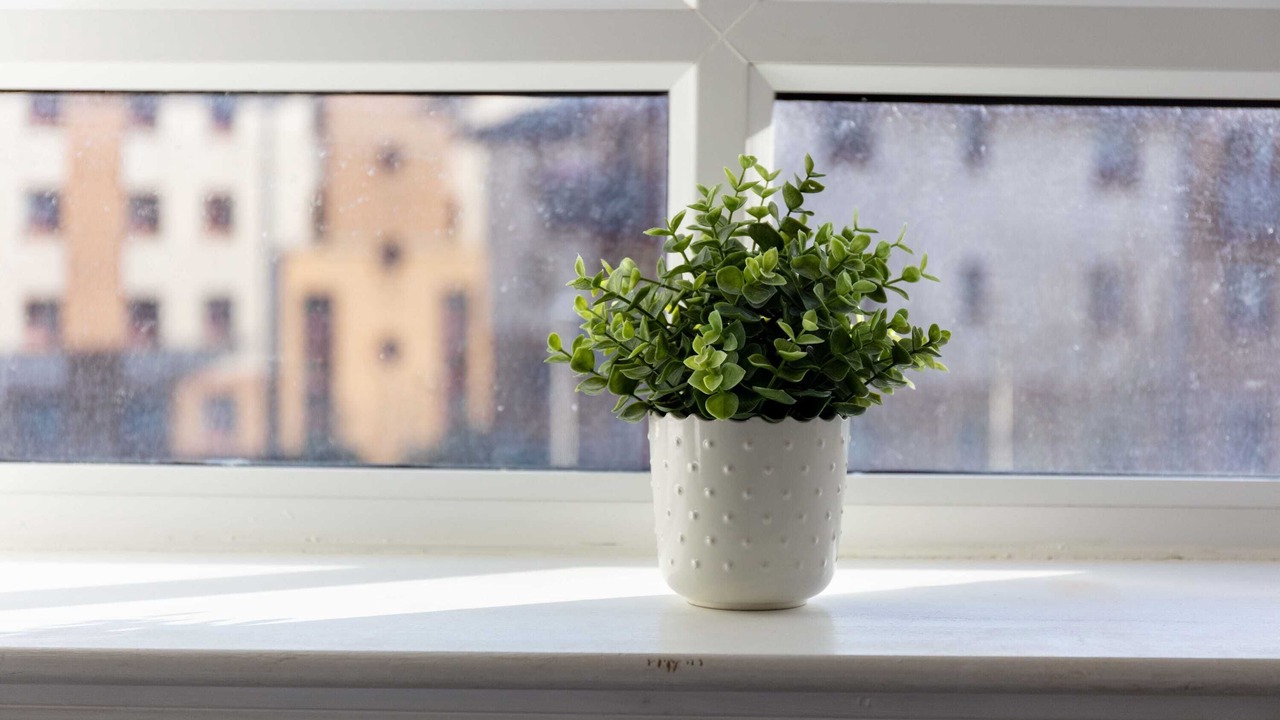 Photo of Others in Ayr