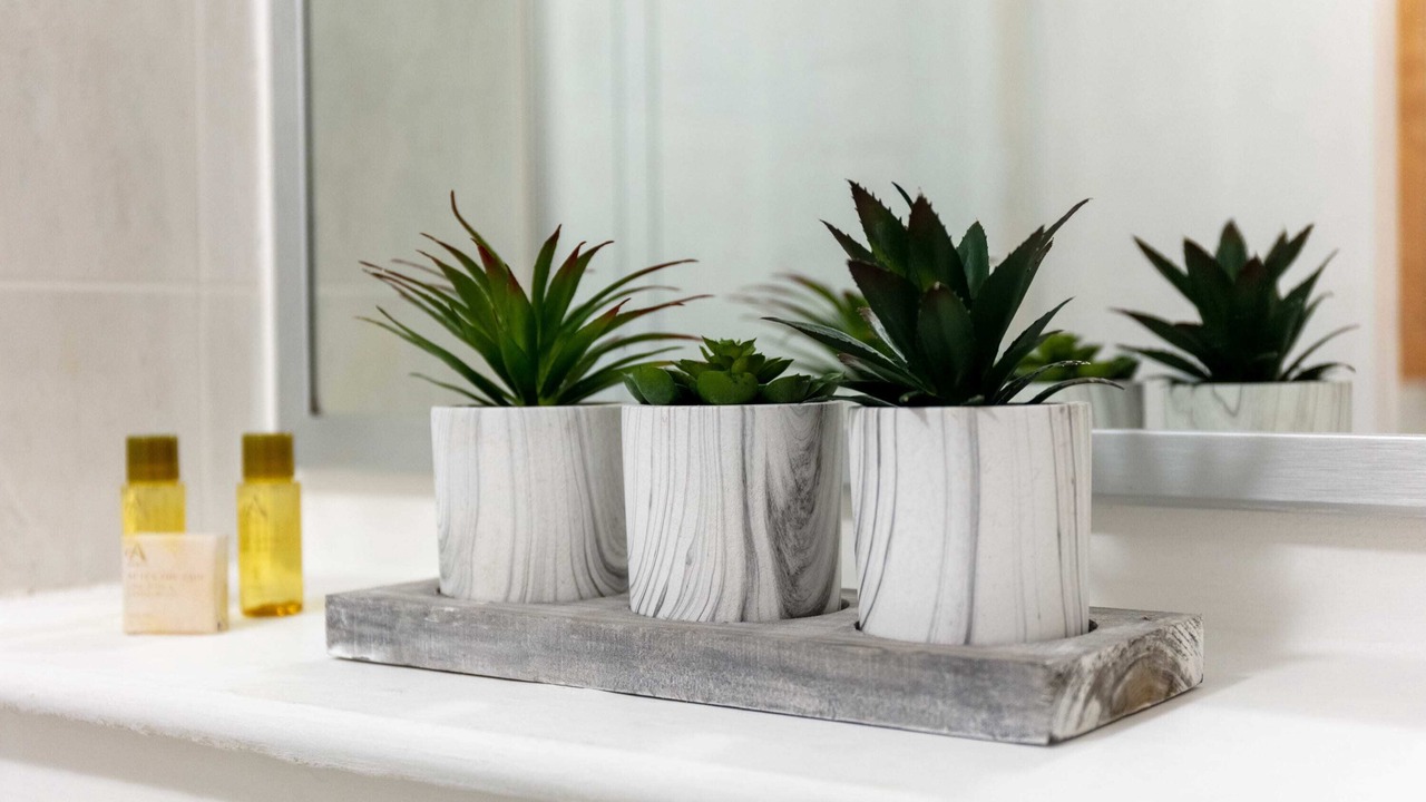 Photo of Others in Ayr