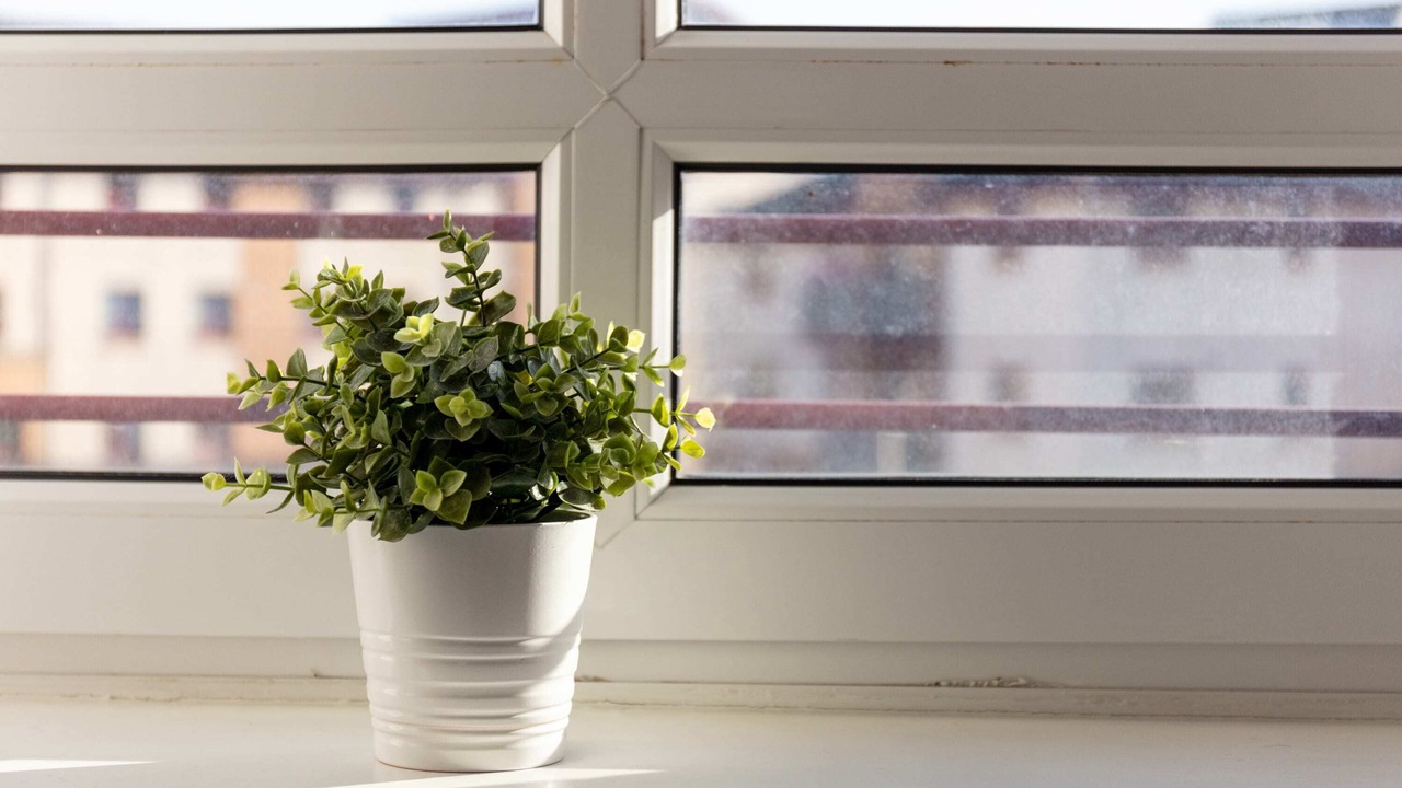 Photo of Others in Ayr