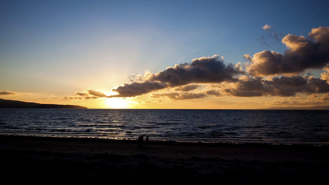 Photo of Others in Ayr