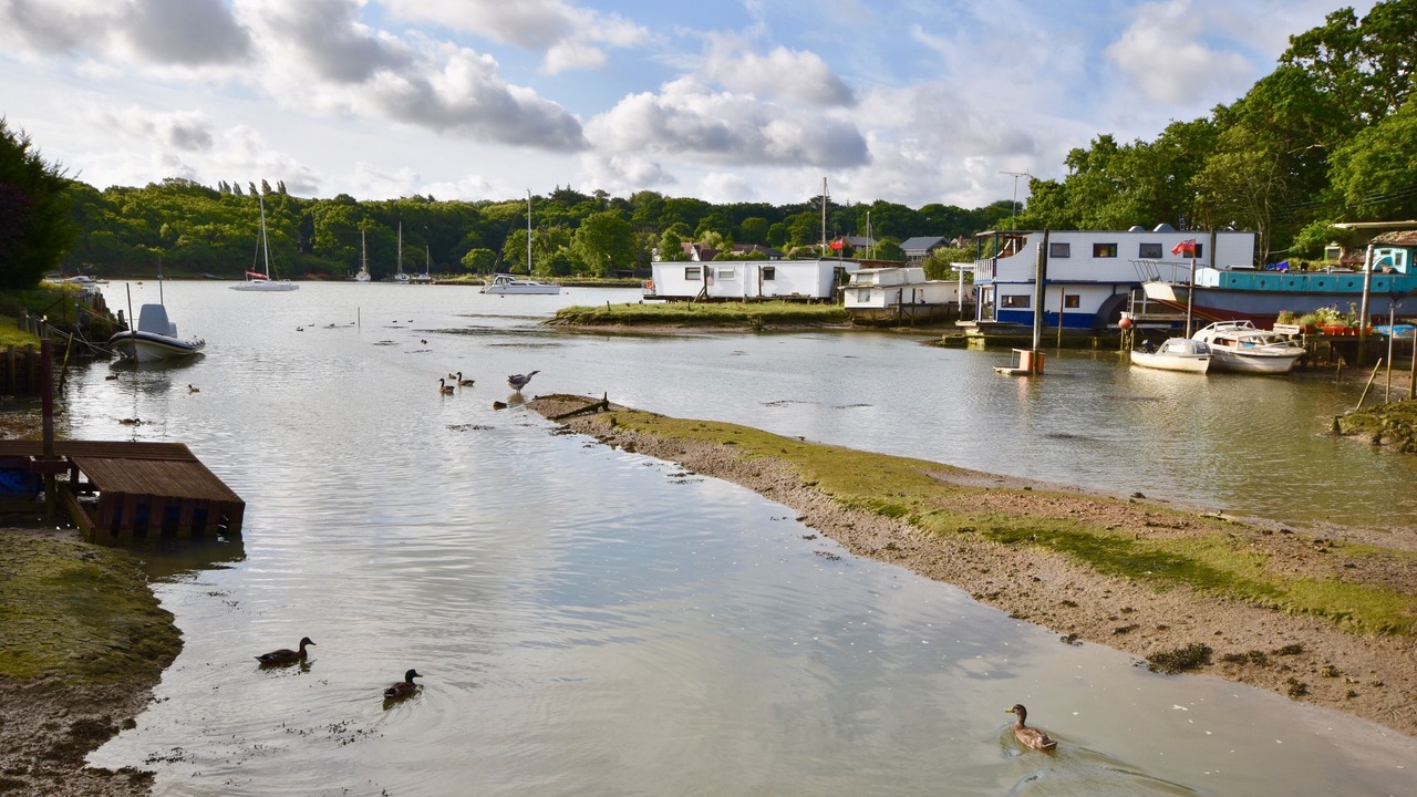 Photo of Others in Ryde