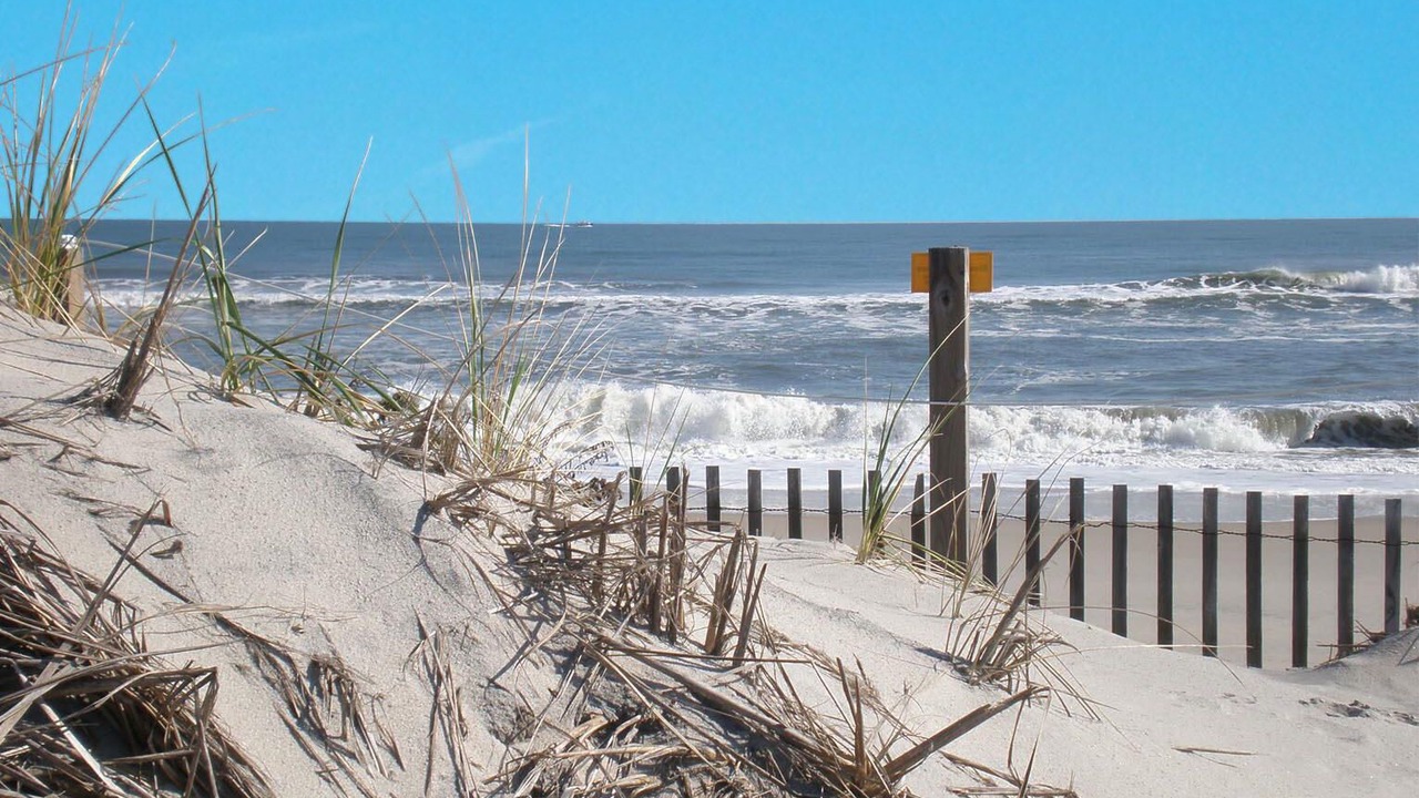 Photo of Others in Midtown Ocean City