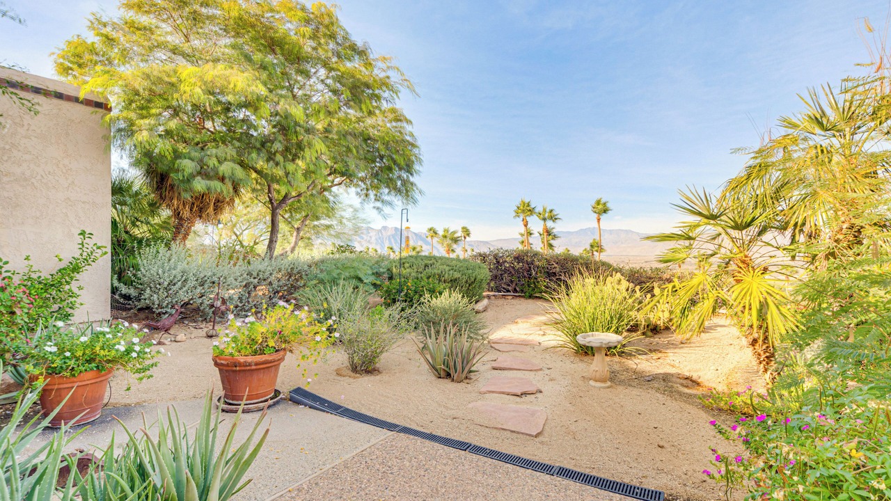 Photo of Others in Borrego Springs