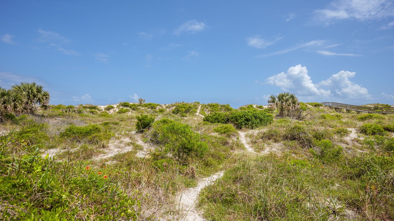 Photo of Others in Butler Beach