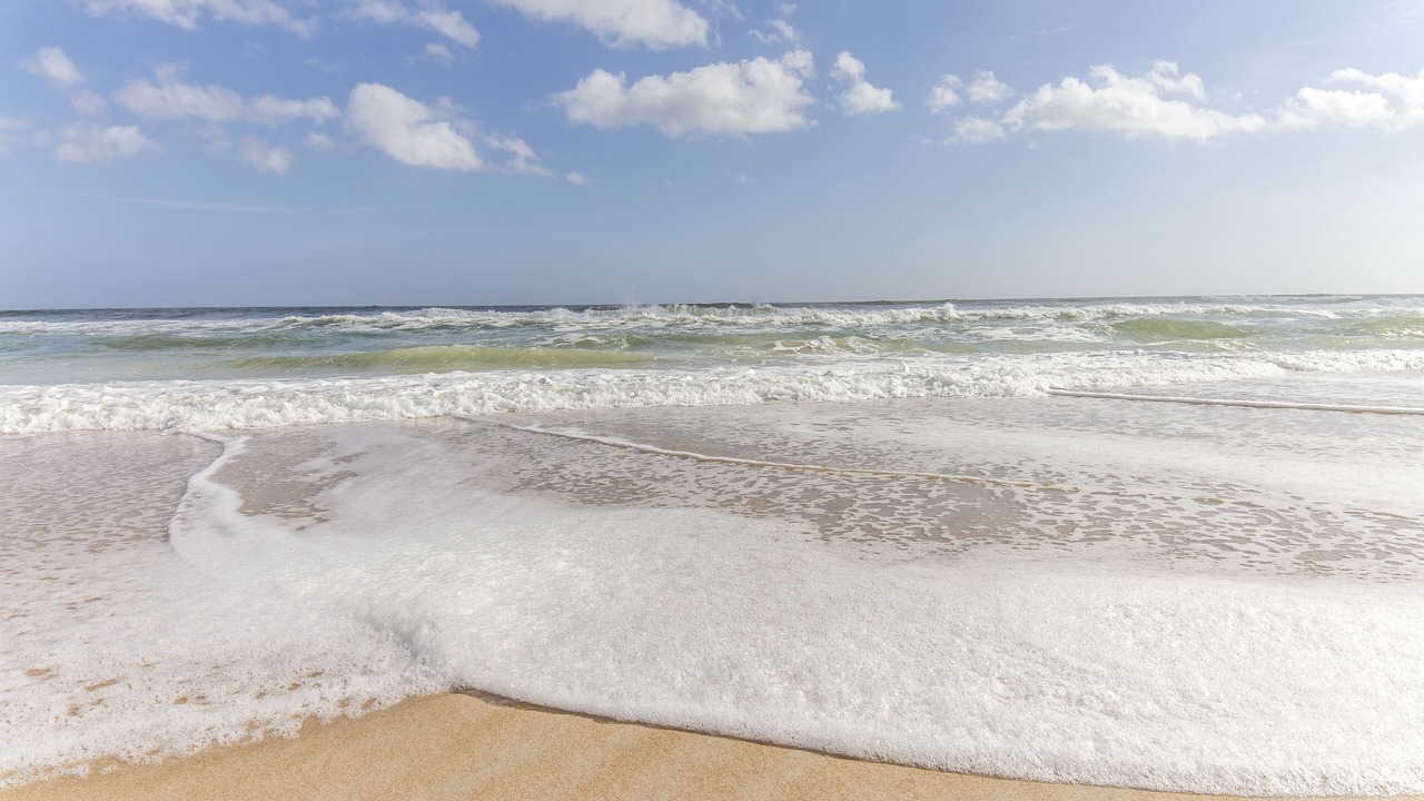 Photo of Others in Butler Beach