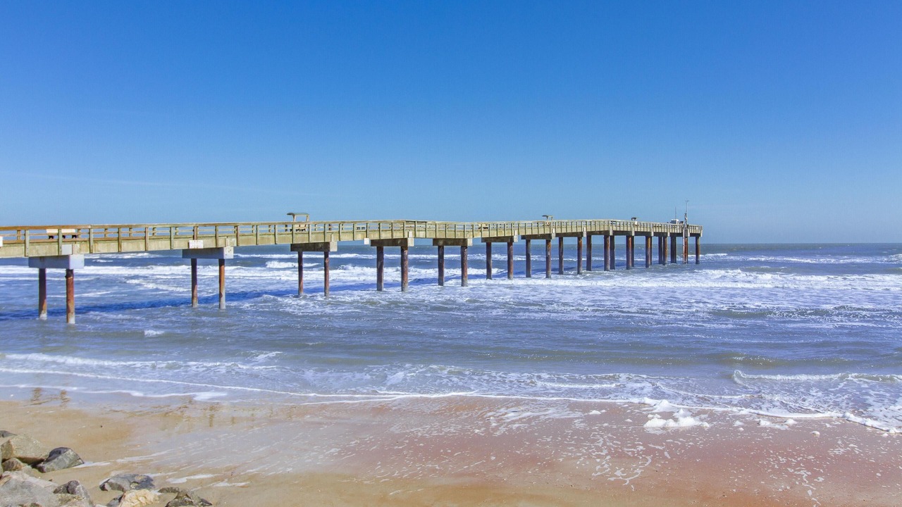 Photo of Others in St. Augustine Beach