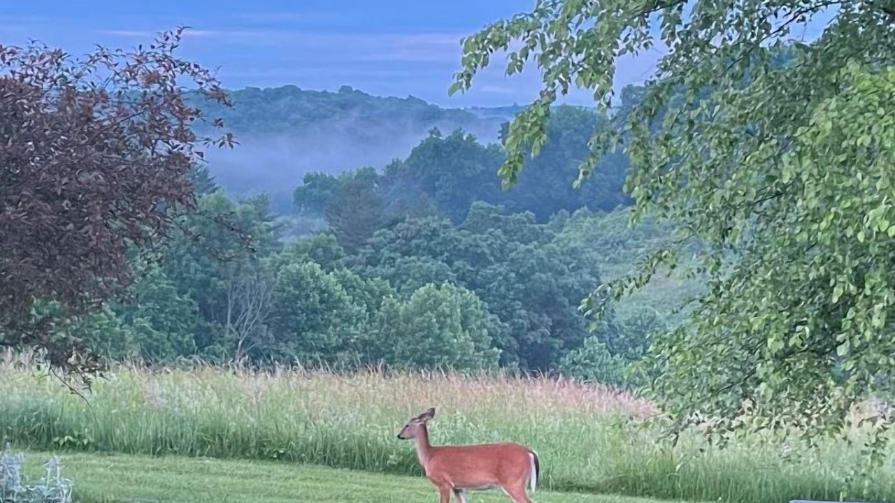 Photo of Others in Logan