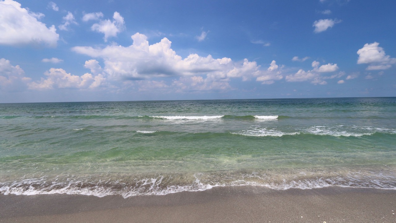 Photo of Others in Sanibel