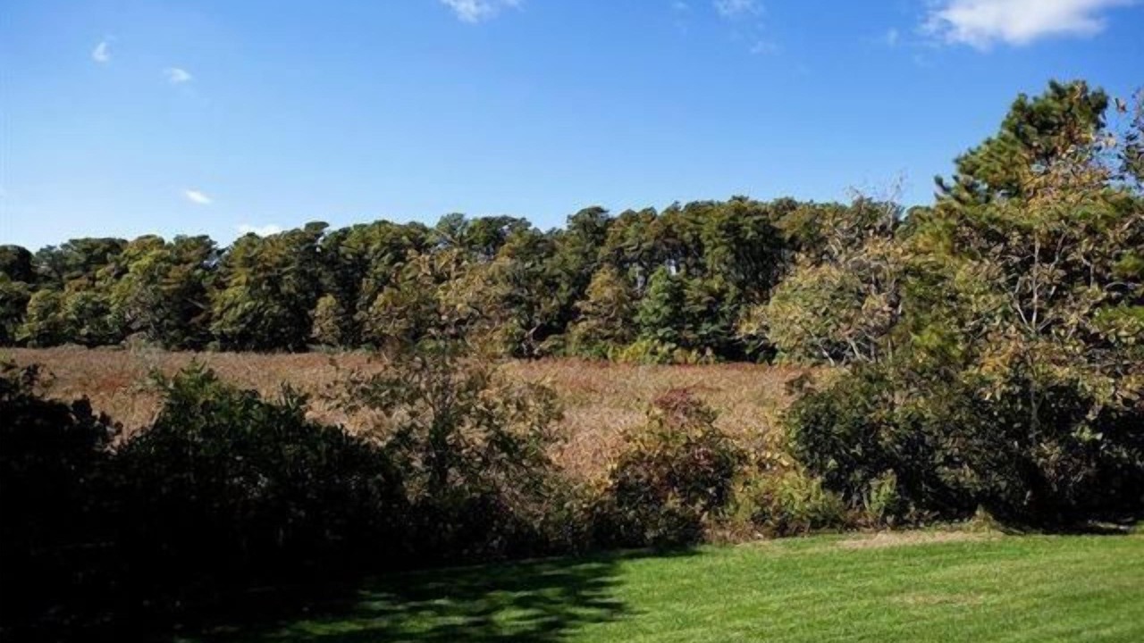 Photo of Others in North Chatham