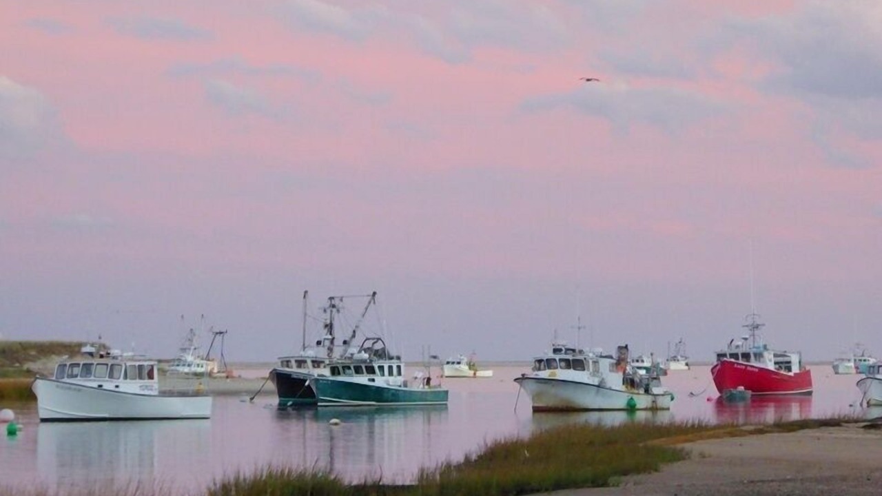 Photo of Others in North Chatham