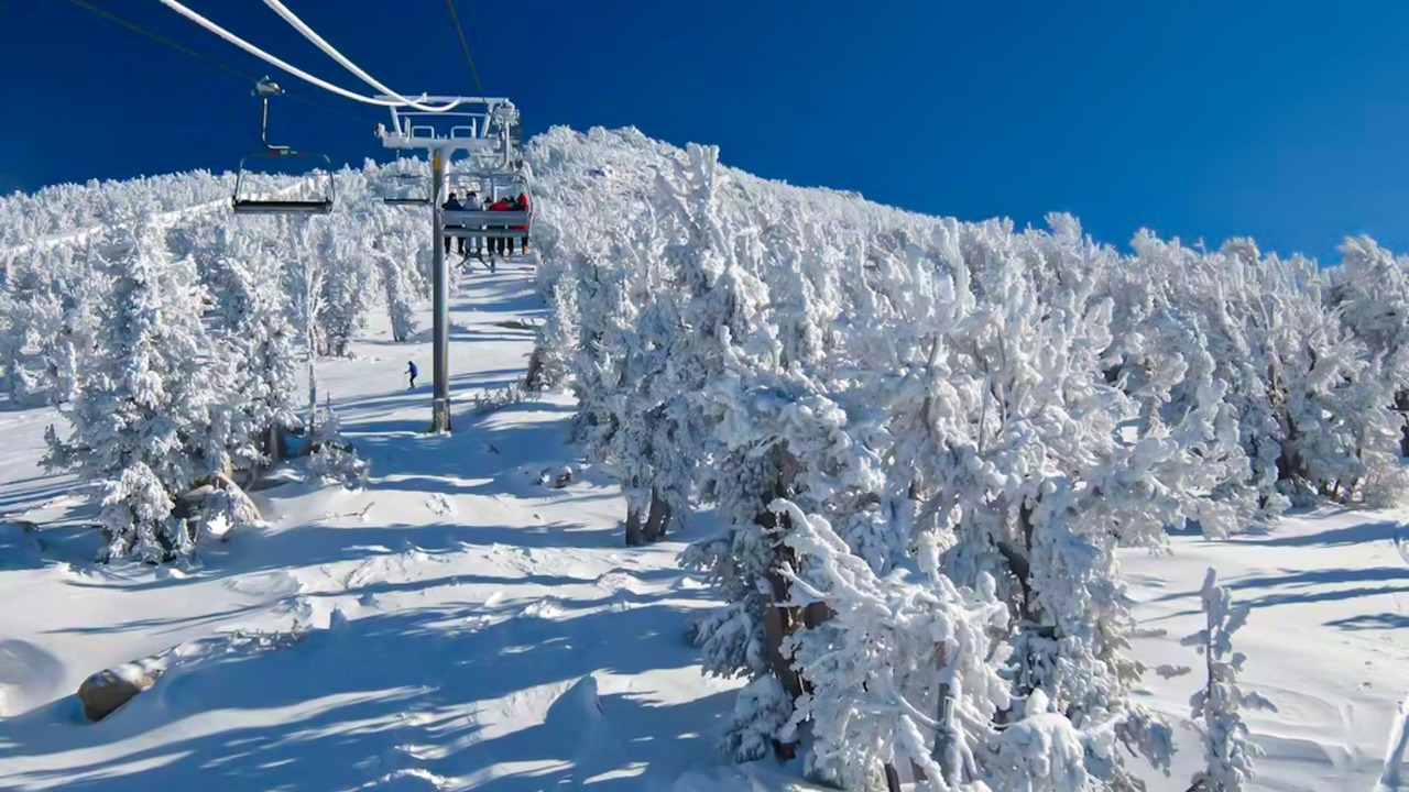 Photo of Others in Mammoth Lakes