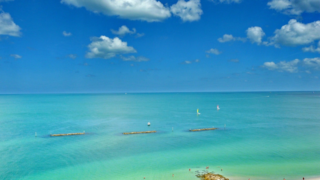 Photo of Others in Marco Island