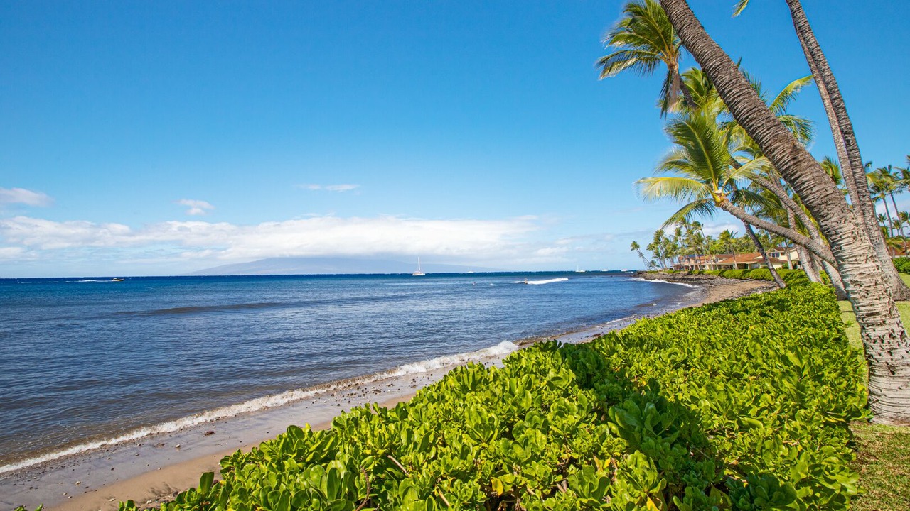 Photo of Others in Downtown Lahaina