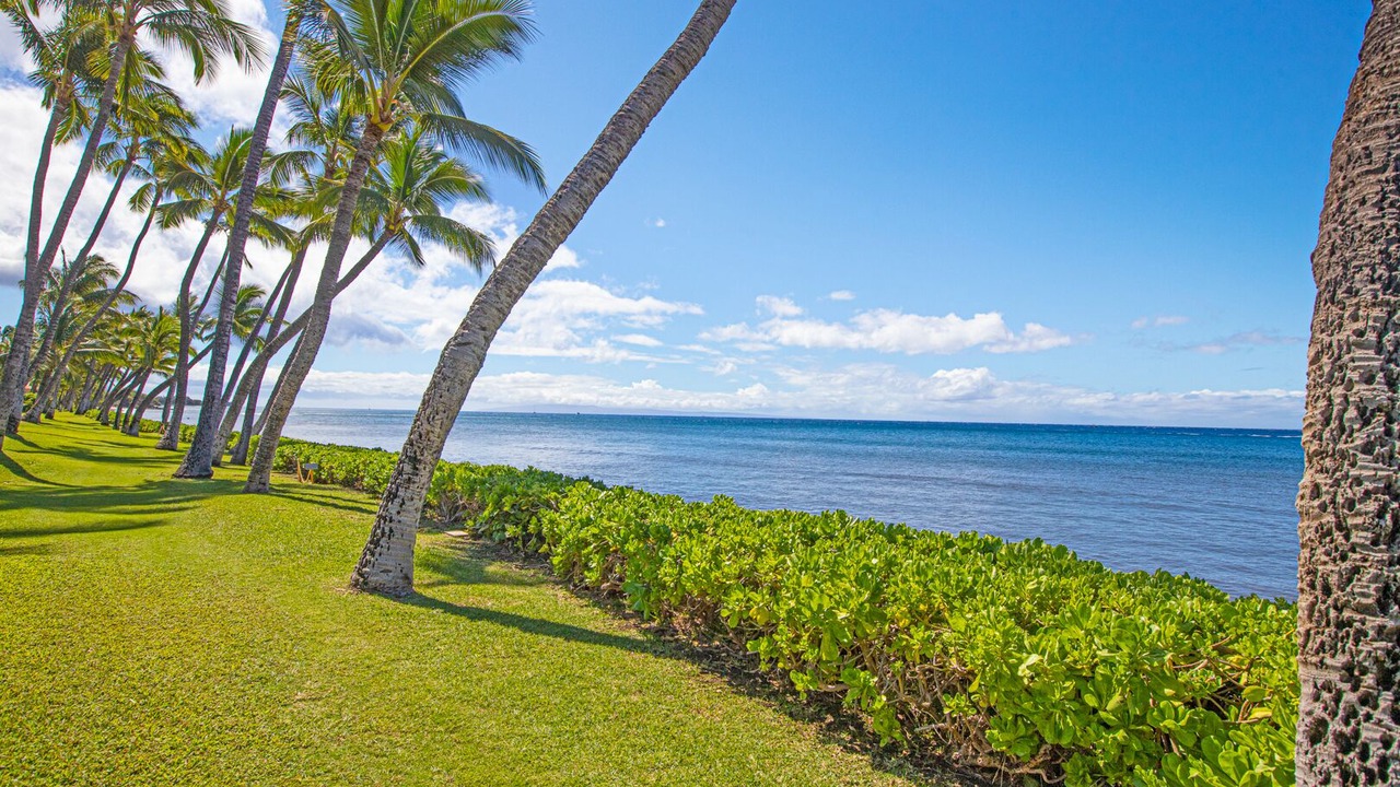 Photo of Outdoor in Downtown Lahaina
