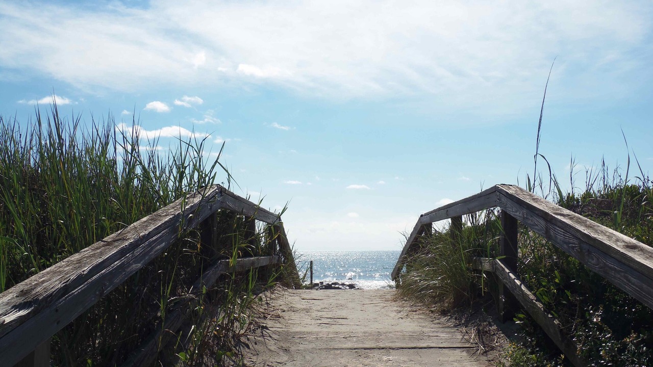 Photo of Others in Pawleys Island