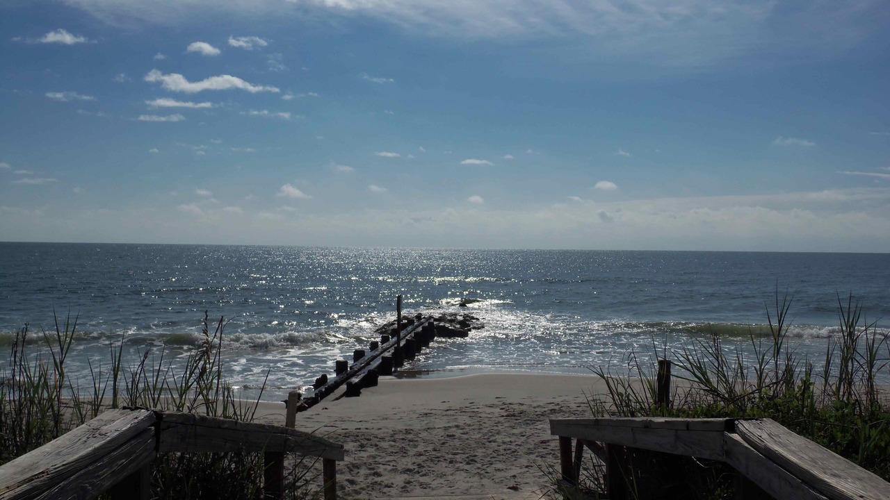 Photo of Others in Pawleys Island