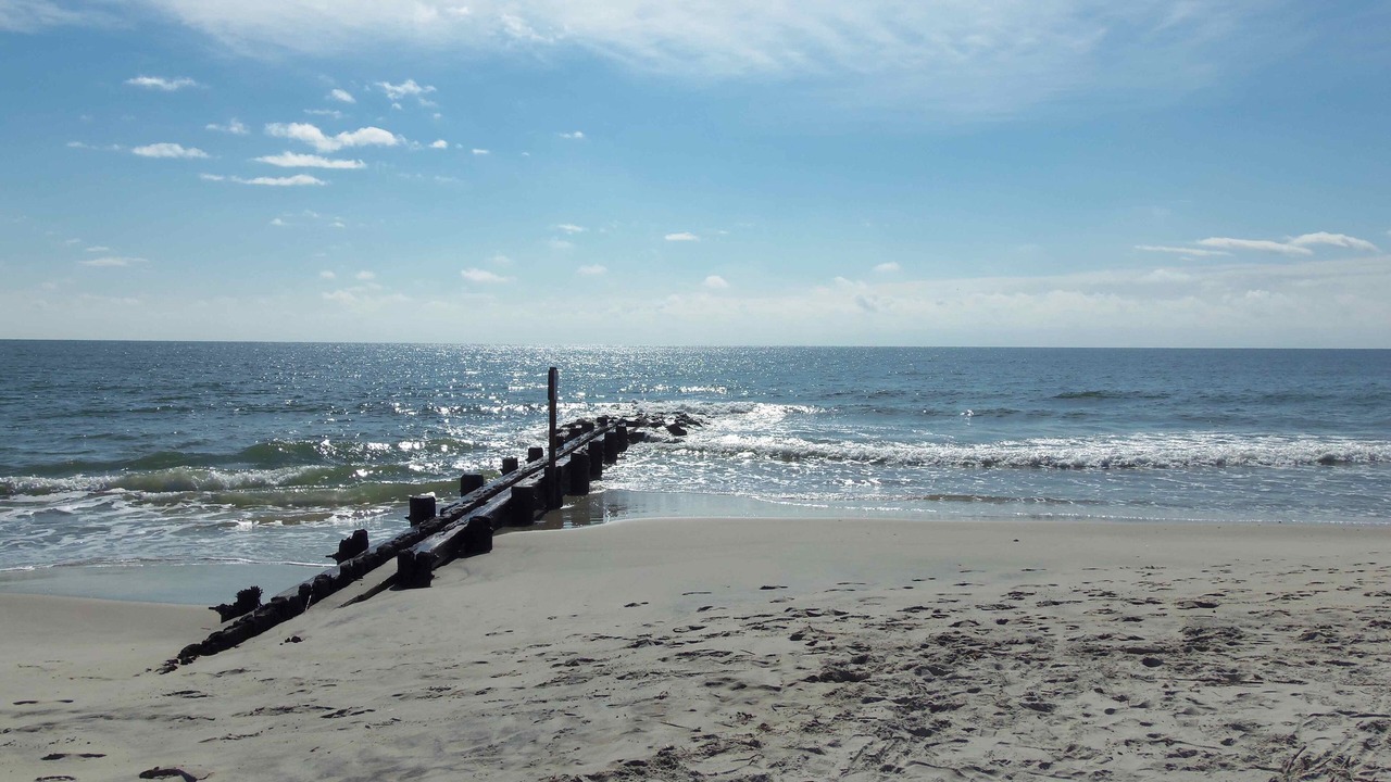 Photo of Others in Pawleys Island