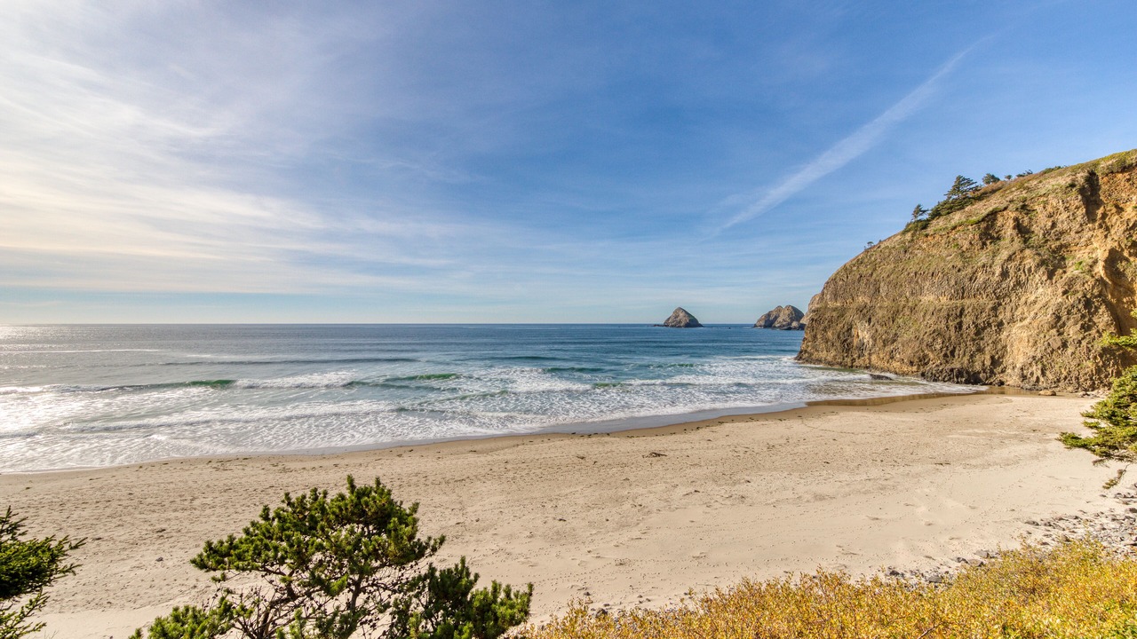 Photo of Others in Oceanside