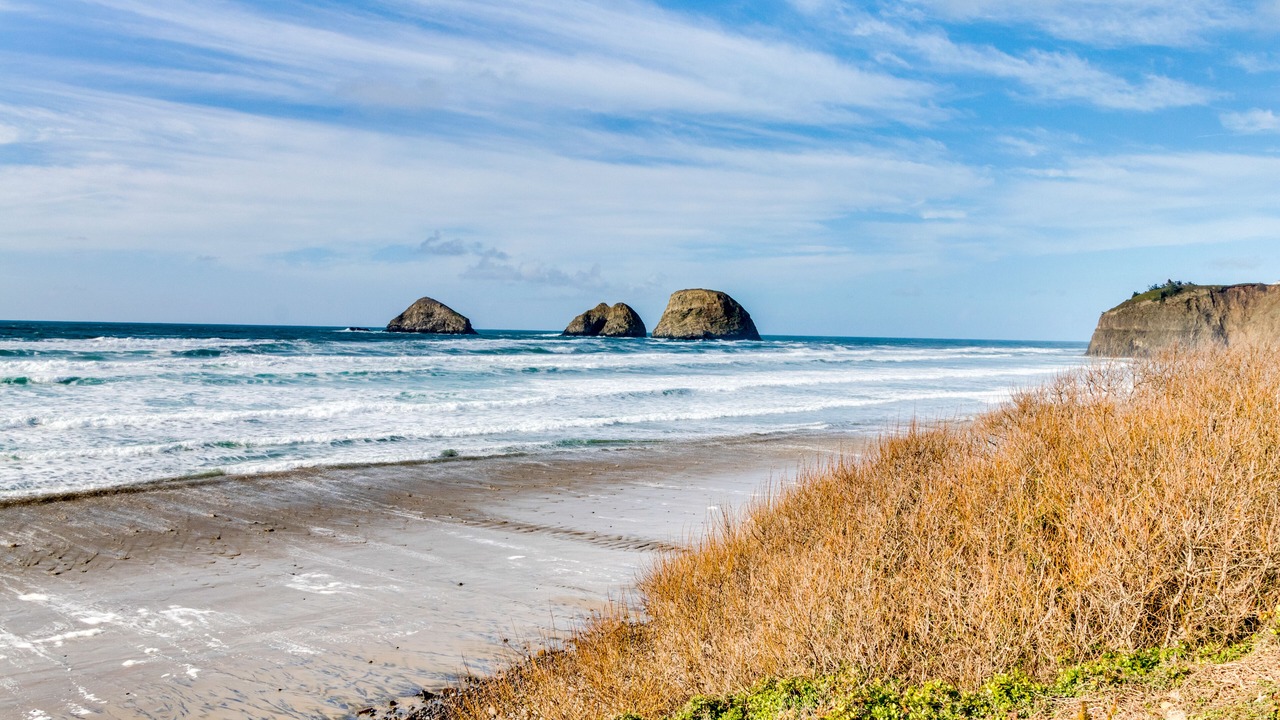 Photo of Others in Oceanside