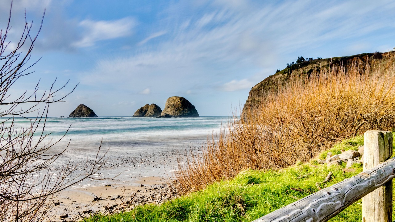 Photo of Others in Oceanside