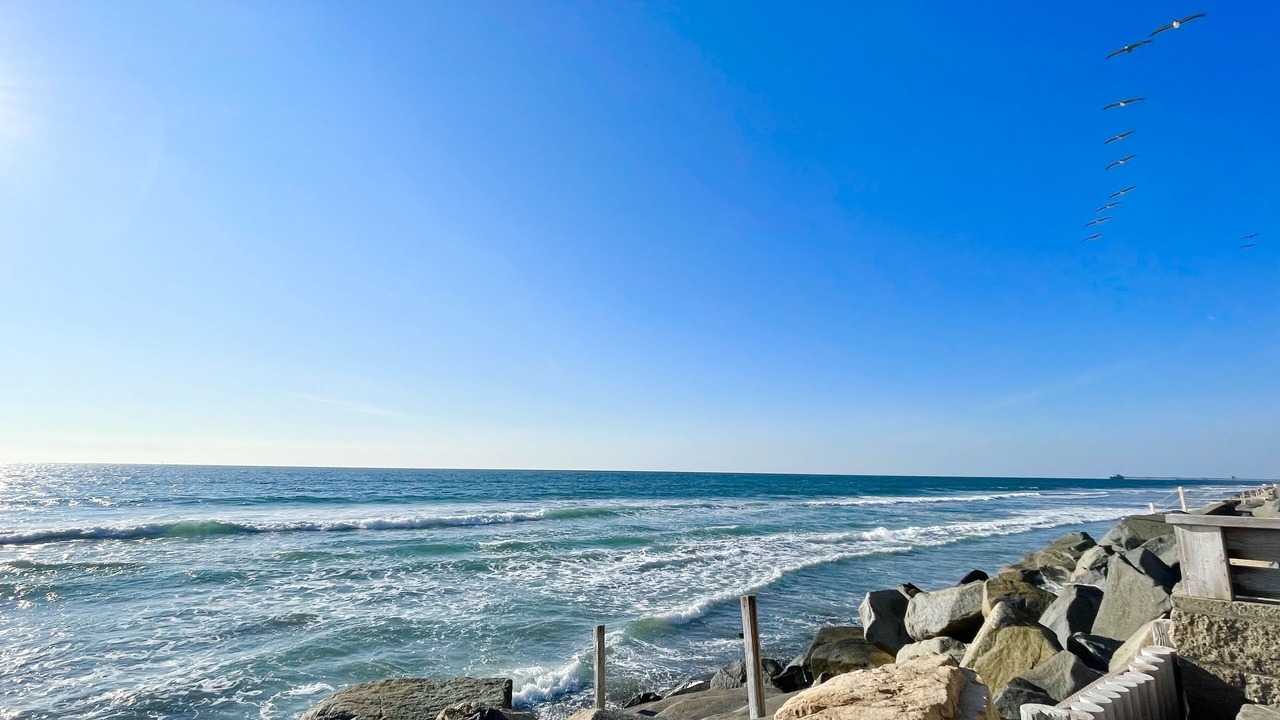 Photo of Others in South Oceanside
