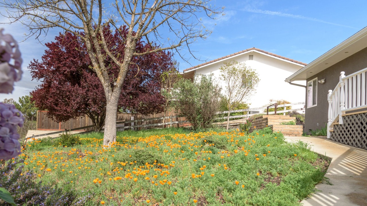 Photo of Others in Paso Robles