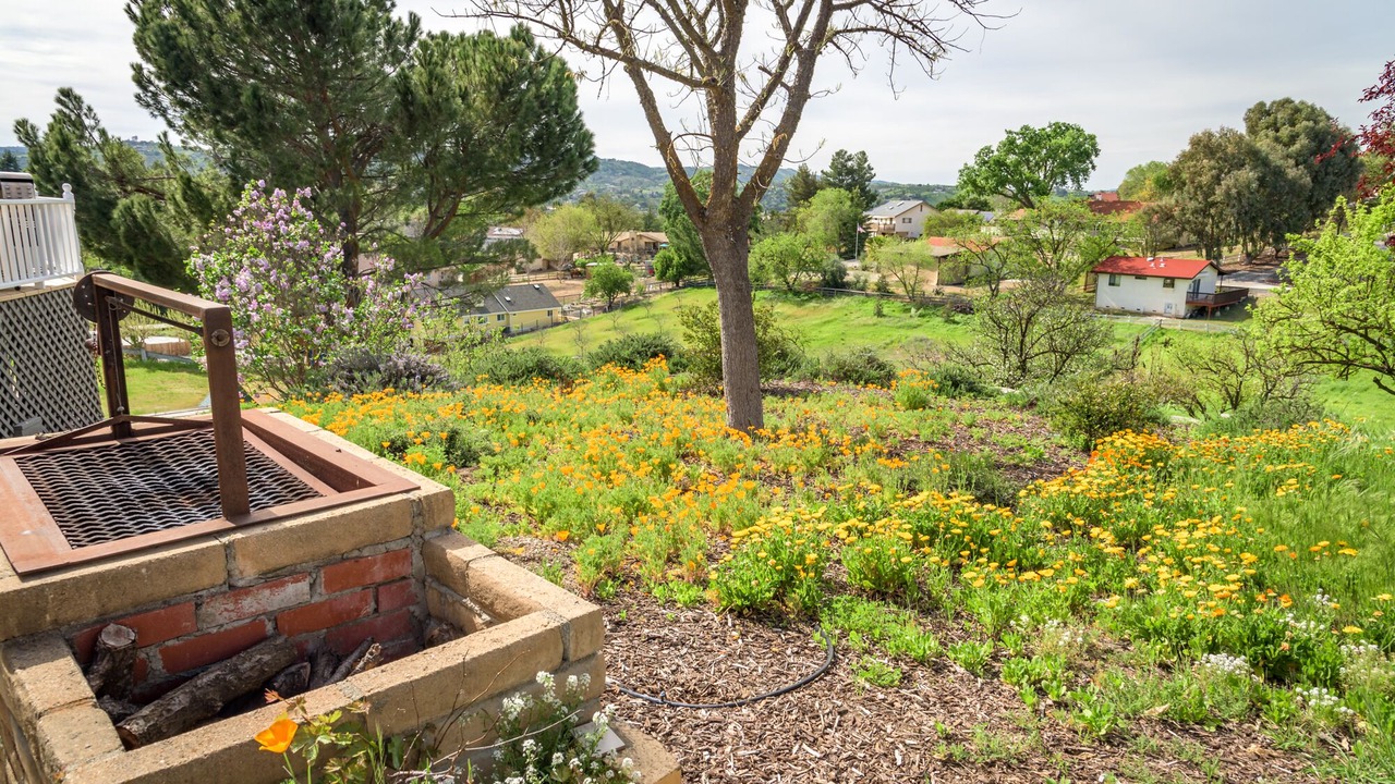 Photo of Others in Paso Robles