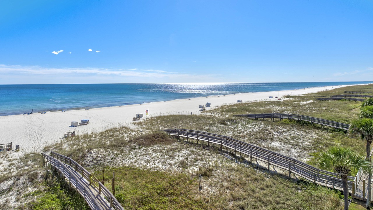 Photo of Others in Ono Island