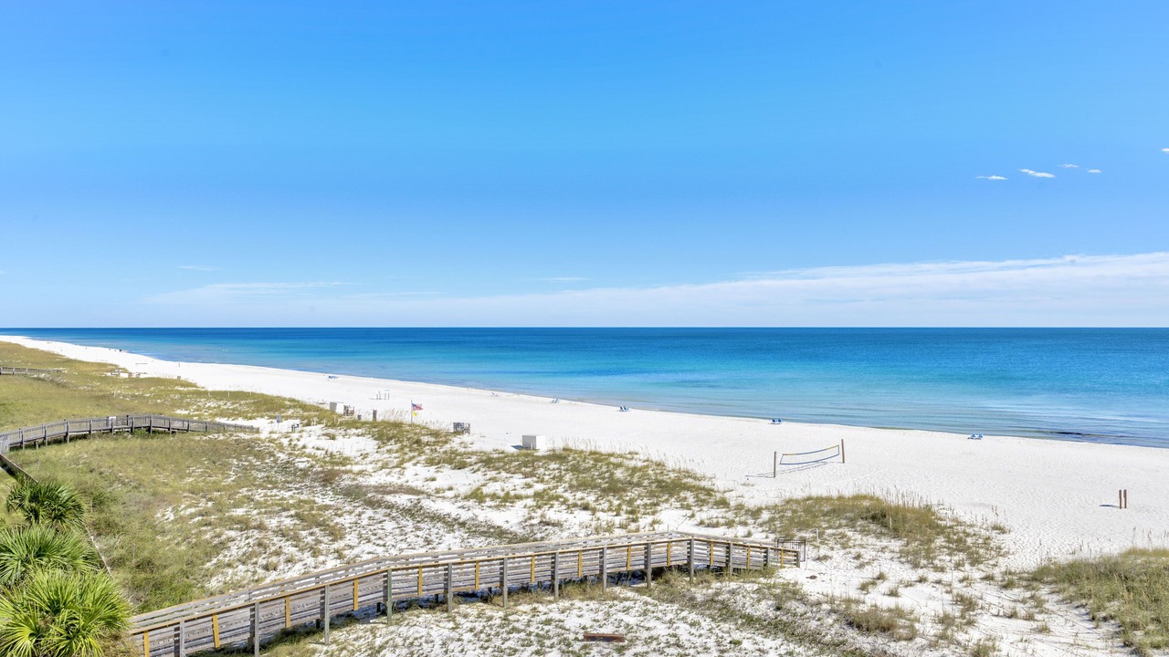 Photo of Others in Ono Island