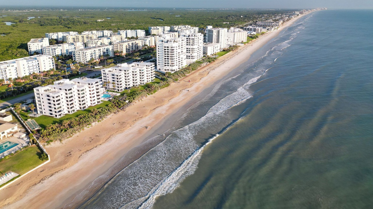 Photo of Others in New Smyrna Beach