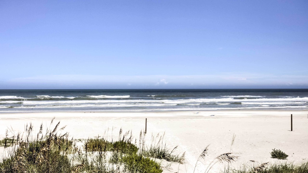 Photo of Others in New Smyrna Beach