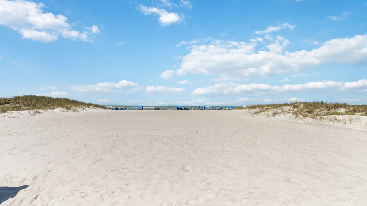 Photo of Others in Madeira Beach