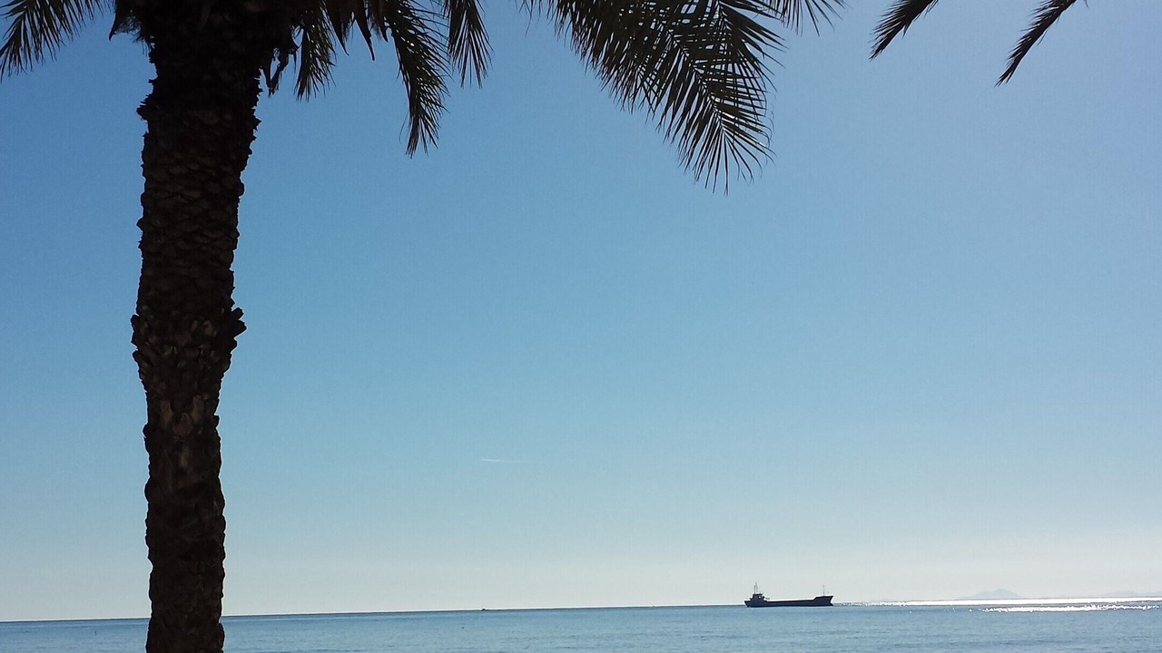 Photo of Others in Torrevieja