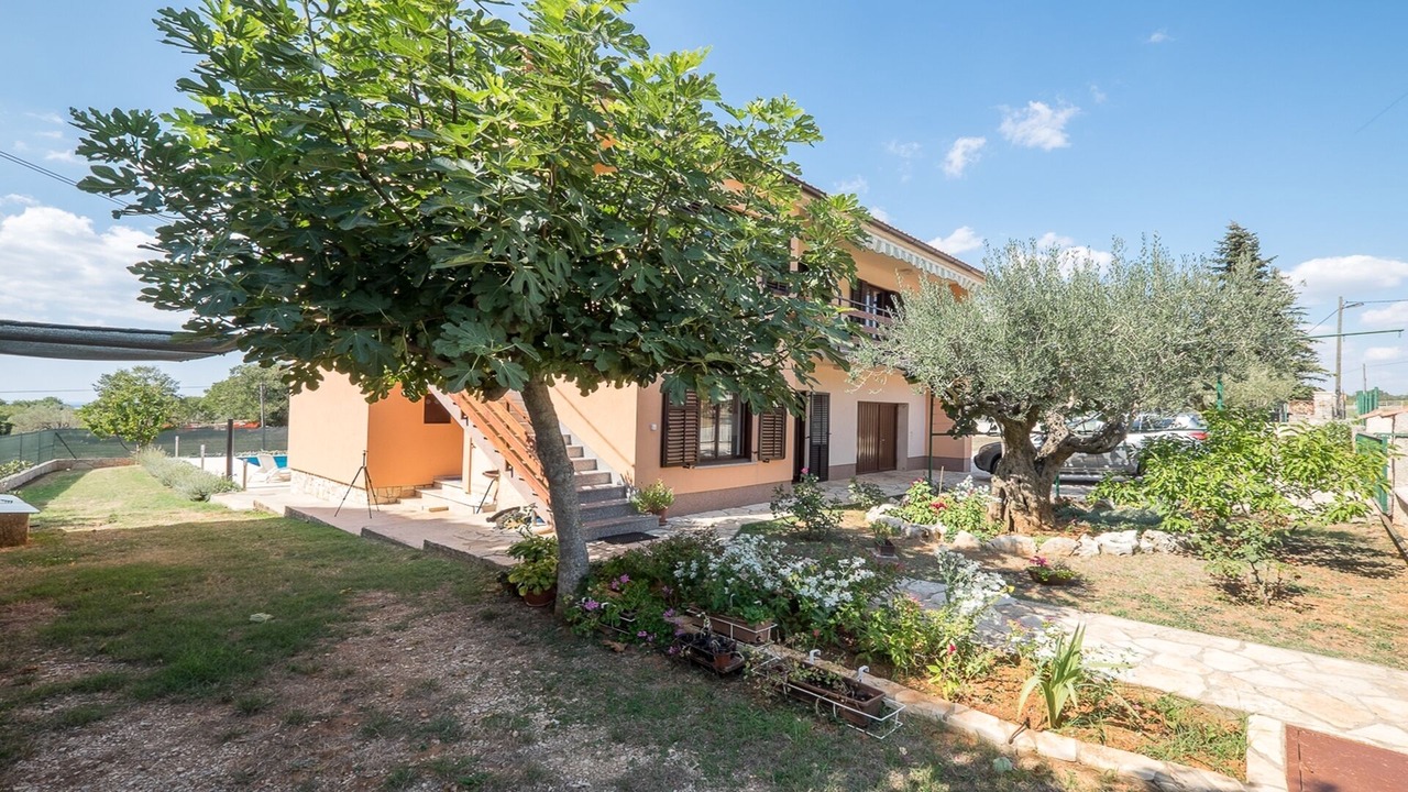 Photo of Outdoor in Galizana