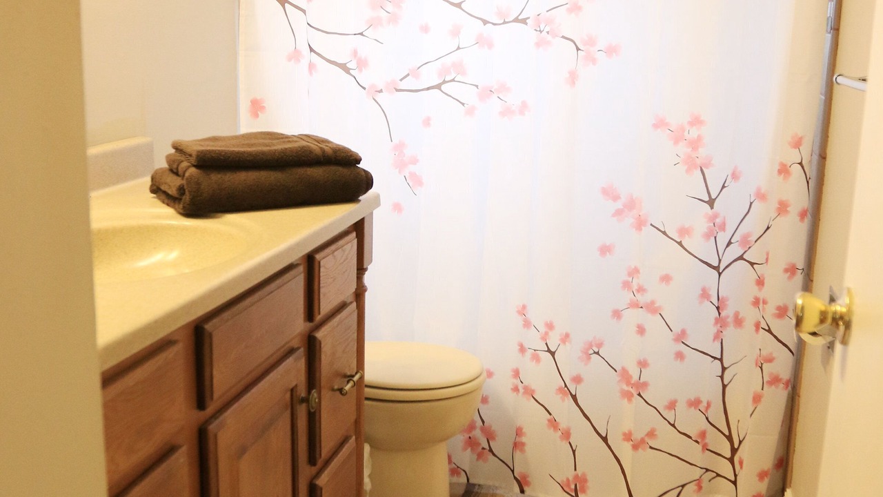 Photo of Bathroom in Maryland Heights