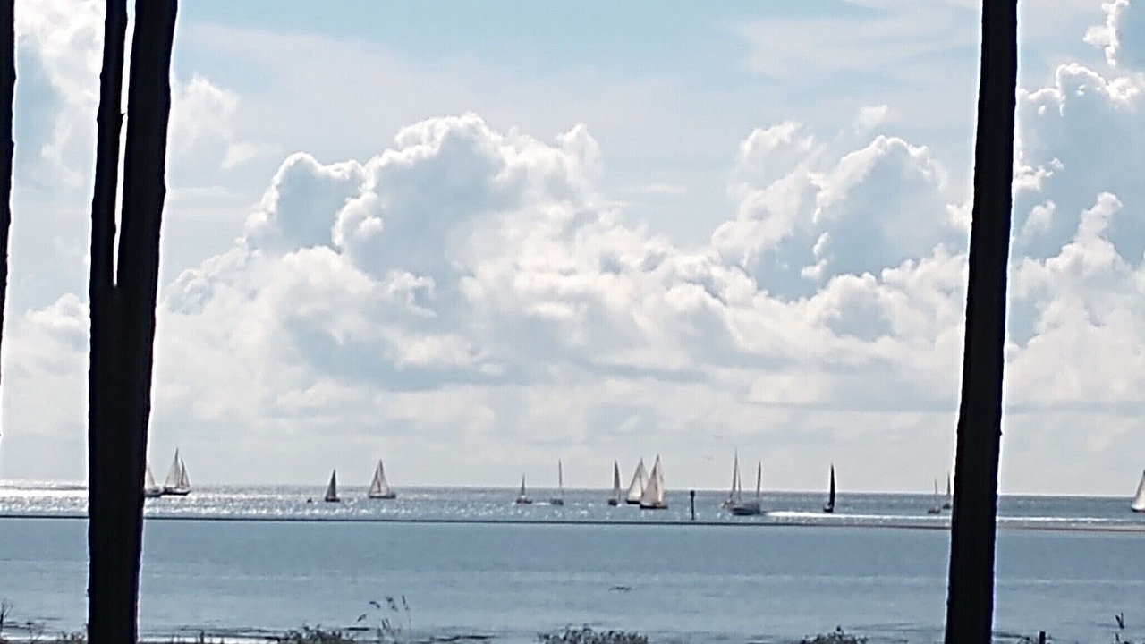 Photo of Others in Melrose on the Beach