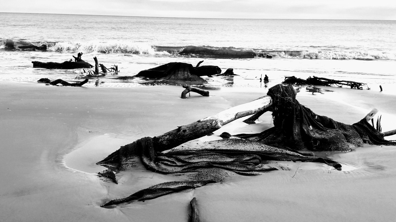 Photo of Others in Melrose on the Beach