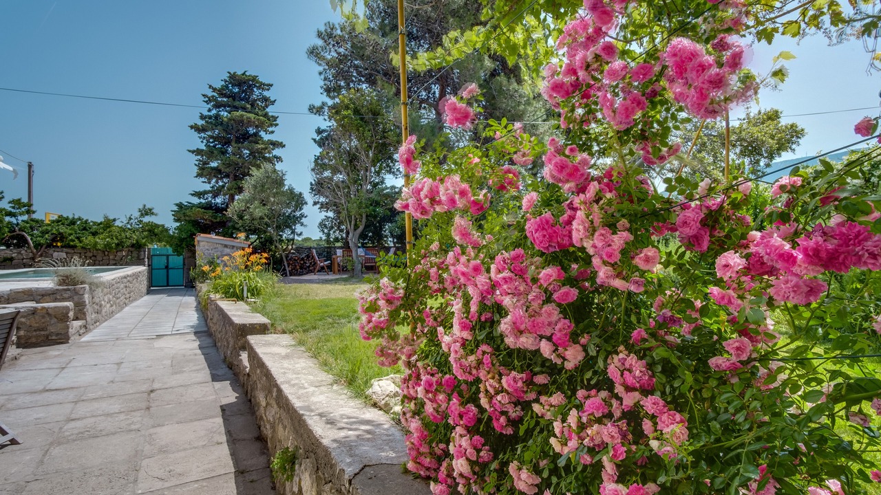 Photo of Outdoor in Osor